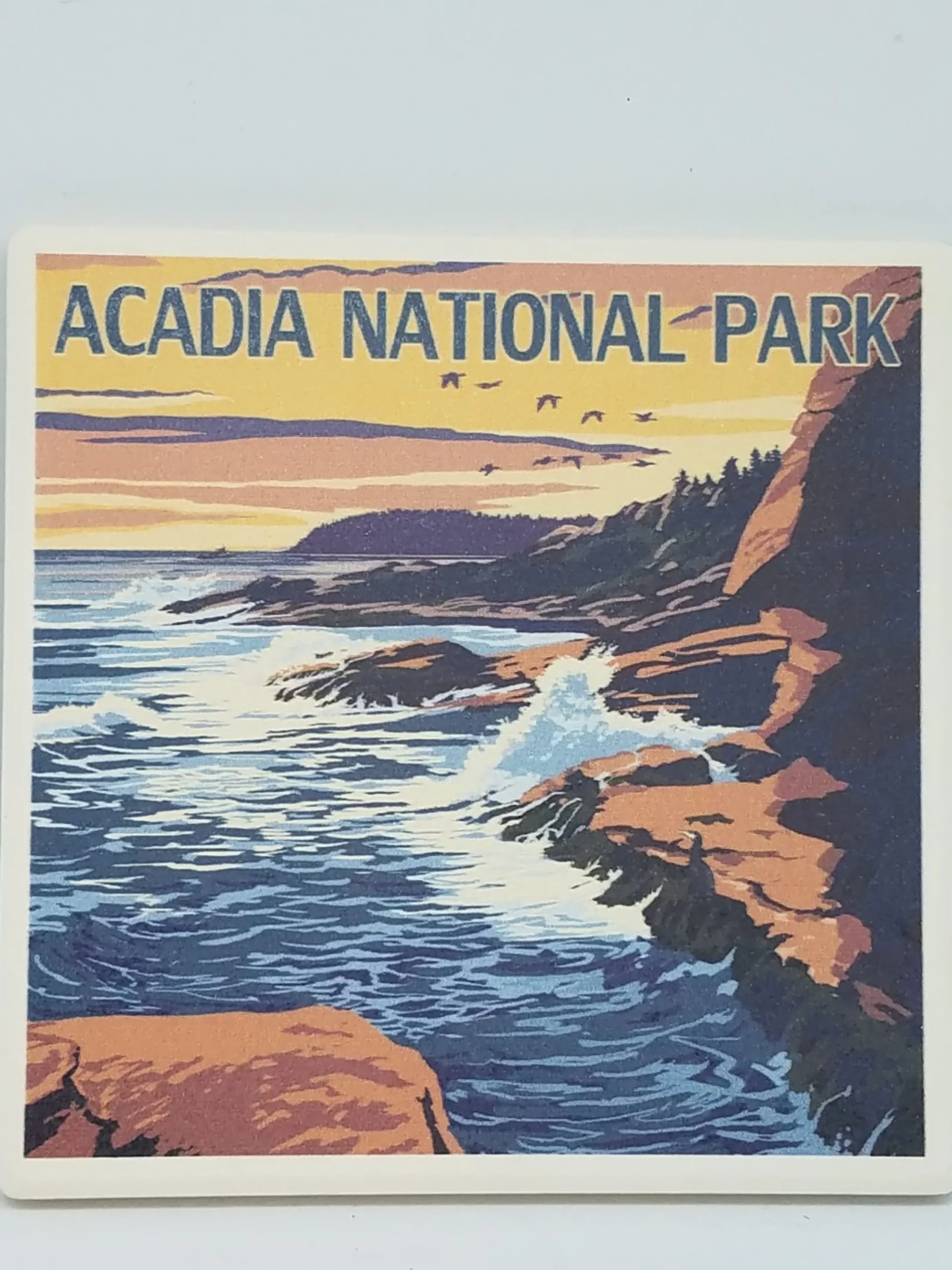 Acadia National Park Coastal Coaster