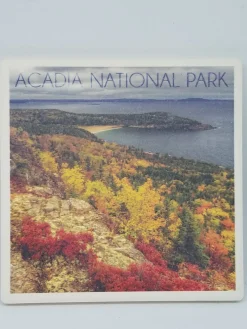 Acadia National Park Fall Foliage Coaster