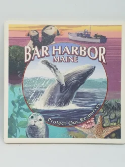 Bar Harbor Maine Collage Coaster