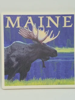 Moose In Meadow Coaster