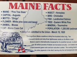 Salt Water Taffy Maine Lobster Box